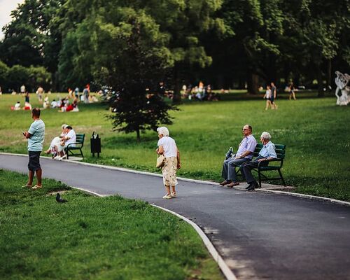 summer-green-nature-park