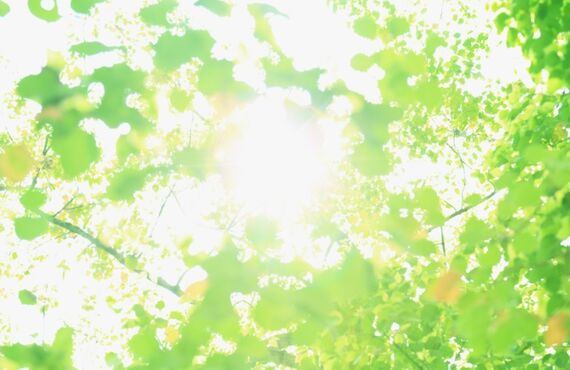 甲賀市内でウエディングフォトの出張撮影ならうかい写真スタジオ